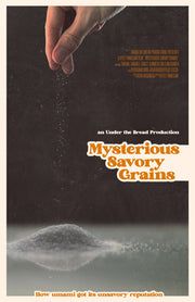 Film poster for “MSG: Mysterious Savory Grains"  A hand sprinkles grains into a small pile of grains on a table.