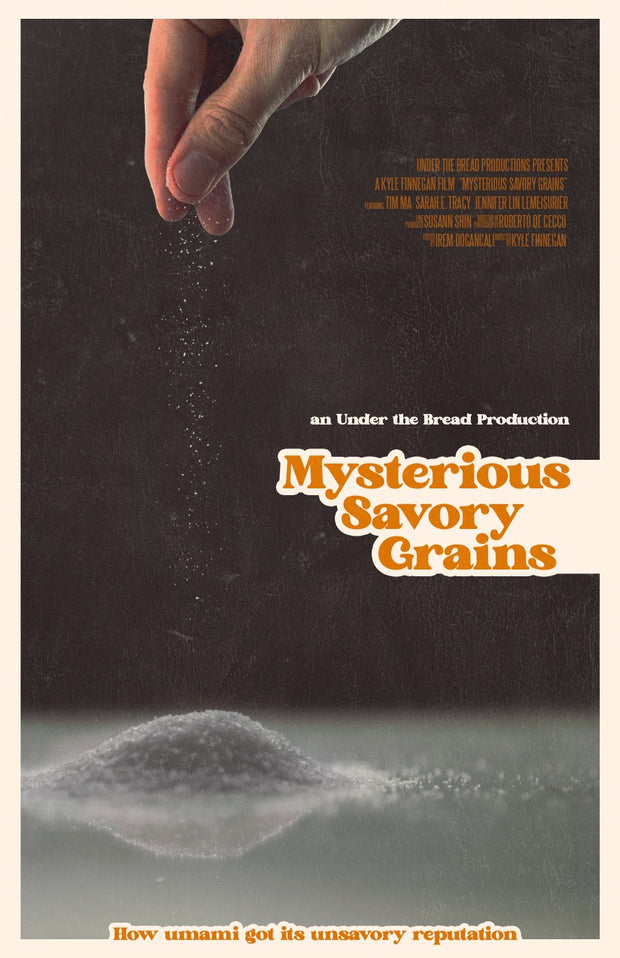 Film poster for “MSG: Mysterious Savory Grains"  A hand sprinkles grains into a small pile of grains on a table.