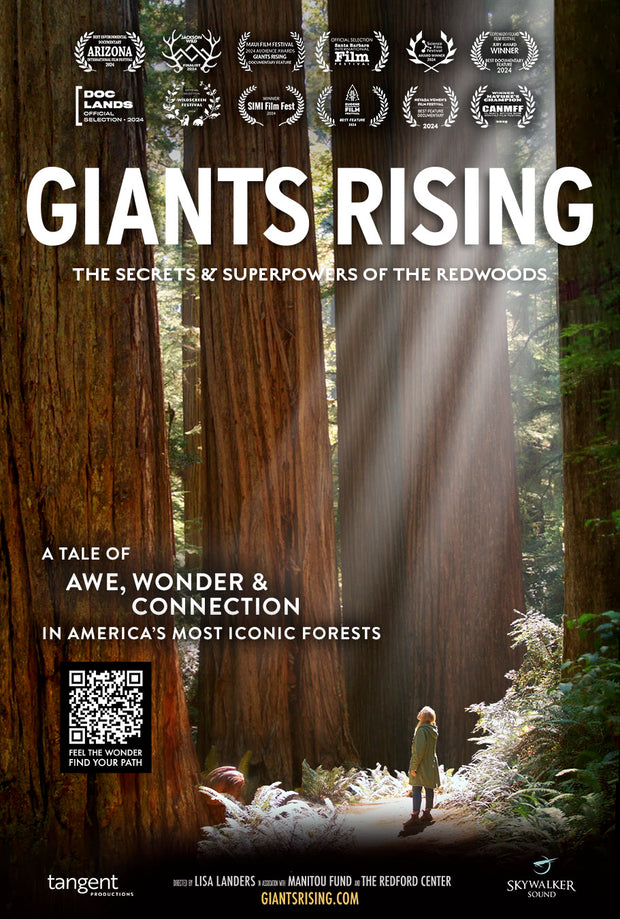 Film poster for "Giants Rising." Person standing in a forest with sunlight filtering through the trees. 