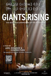 Film poster for "Giants Rising." Person standing in a forest with sunlight filtering through the trees. 