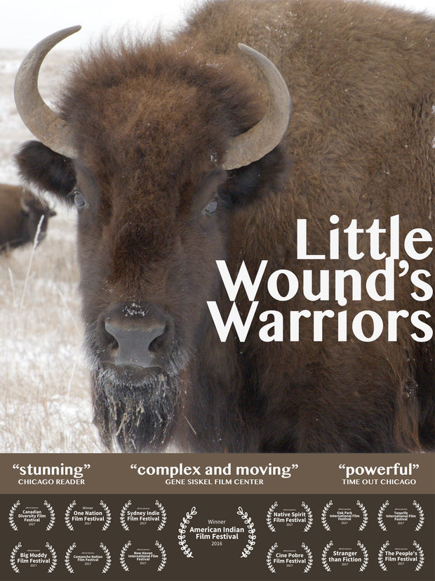 Film poster for “Little Wound's Warriors.” An image of a brown buffalo in the grassland, with film awards and film reviews on the bottom of the poster