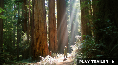 Trailer for the documentary "Giants Rising" directed by Lisa Landers. Person standing in a forest with sunlight filtering through the trees. 
