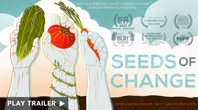 Documentary trailer for "SEEDS OF CHANGE". A silhouetted man looks at the sunset. https://vimeo.com/933782884