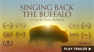 Trailer for documentary "Singing Back The Buffalo" directed by Tasha Hubbard. A silhouette of a buffalo in front of a beautiful sunrise, with the film title and laurels for awards & film festivals visible. https://vimeo.com/1035789335