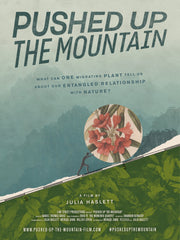 Film poster for "Pushed Up The Mountain" with illustration of person pushing up flower on mountain.