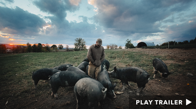Trailer for documentary "The Last Pig" directed by Allison Argo. Man standing over group of pigs in farm.  https://vimeo.com/426072775